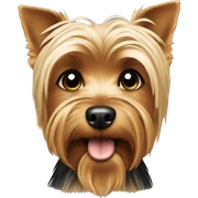 Yorkie terrier  sticker