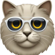 Cat with sunglasses sticker