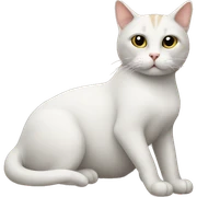 Cat on chair sticker