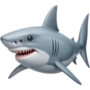 shark sticker