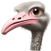 OSTRICH  sticker