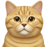 golden british shorthair sticker