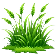 green sticker
