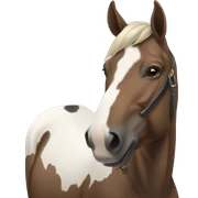 caballos sticker