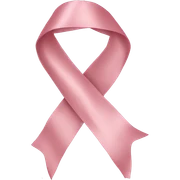 light pink silk ribbon sticker