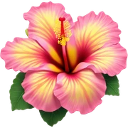 yellow and pink hibiscus flower sticker