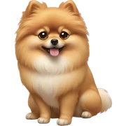 Pomeranian  sticker