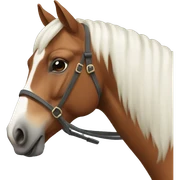 Horse sticker