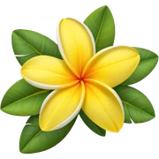 Plumeria flower yellow  sticker
