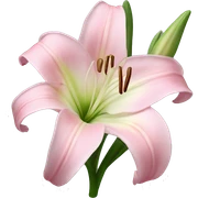 light pink lilium sticker