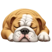 Bulldog sleeping sticker
