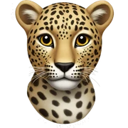 Leopard sticker
