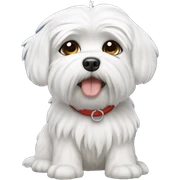 maltese dog sticker