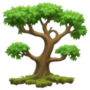 Magic trees  sticker