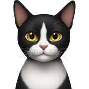 black cat sticker