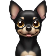 Black chihuahua sticker