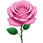 Pink sticker