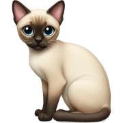 Siamese cat sticker