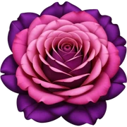realistic Colorshifting dark purple, red, pink rose sticker
