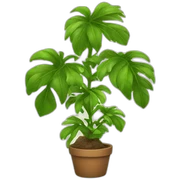 Plant sticker