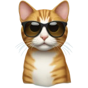 Cat with sunglasses sticker