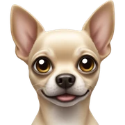 black chihuahua sticker