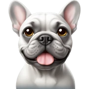 grey french bulldog sticker