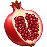 pomegranate  sticker
