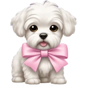 Schichon puppy pink bow sticker
