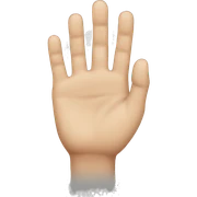 Hand sticker
