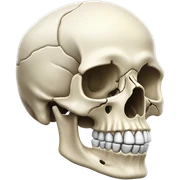 skull sticker