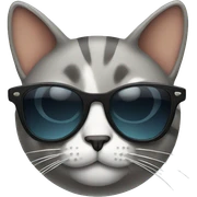 Cat with sunglasses sticker