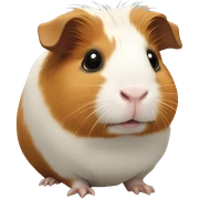 Guinea pig sticker
