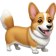 corgi sticker