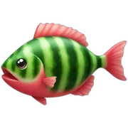 Watermelon fish sticker