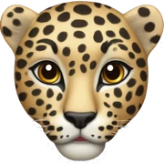 Leopard  sticker
