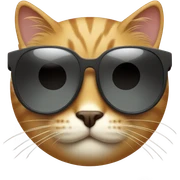 Cat with sunglasses sticker