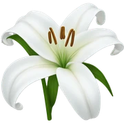 White lily  sticker