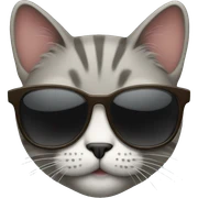 Cat with sunglasses sticker