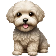 Maltipoo sticker