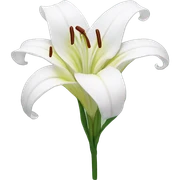 Lily flower sticker