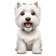 West Highland White terrier  sticker