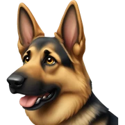 German shepherd sticker