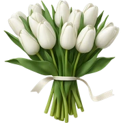 white tulip bouquet  sticker