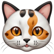 Cat blanco y negro con manchas marrones sticker