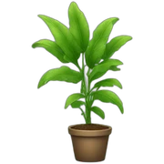 plant sticker