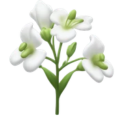 Silverbell  sticker