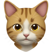 Kedi dondurma yiyiyor sticker