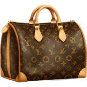 Louis vuitton bag sticker