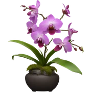 Ikebana orchid sticker